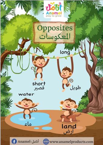 Opposites - المعكوسات