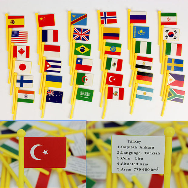 Map of the World and Flags